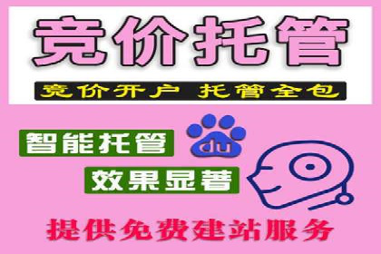 搜索引擎营销（SEM）专员的挑战与机遇